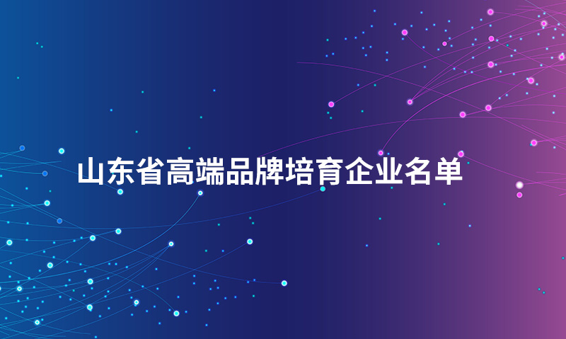 山东欧宝真人·(中国)官方网站股份有限公司入选“山东省高端品牌培育企业名单”